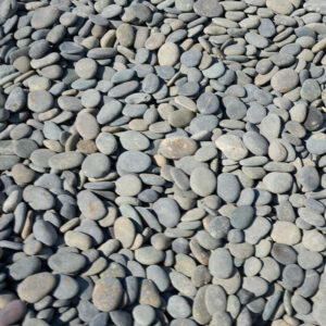 Mexican Buttons - Black 1/2″