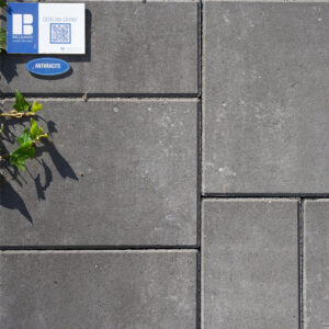 Mission/Catalina Grana -Combo