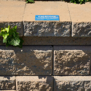 Tan Brown Charcoal - AB Classic