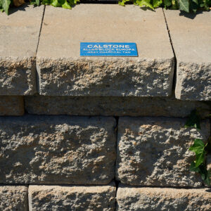 Gray Charcoal Tan - AB Europa