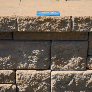 Tan Brown Charcoal - AB Europa