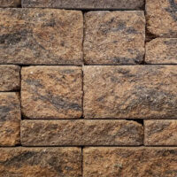 Tan Brown Charcoal - AP Europa