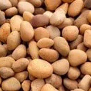 Sunburst Pebbles  1/2″-1″