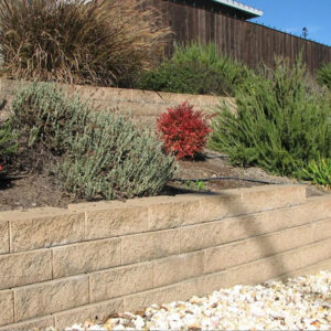 Tan - CLASSIC - Handy-Scape